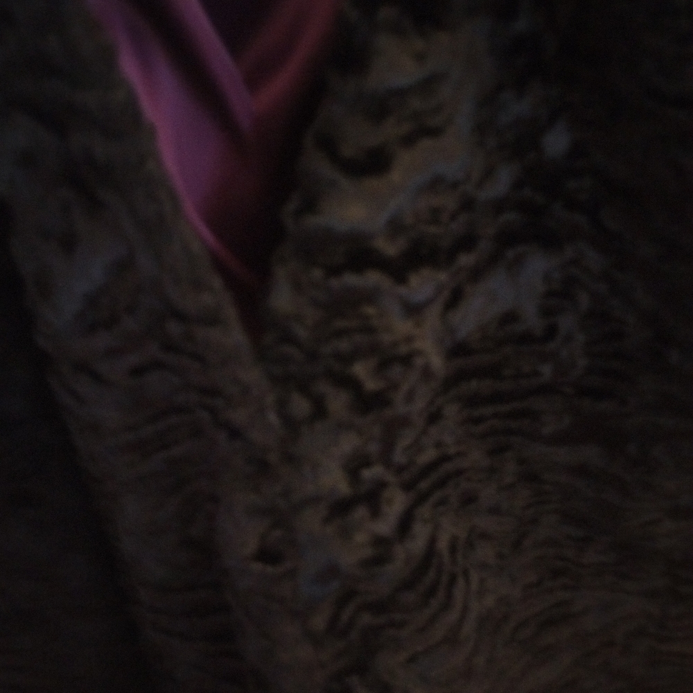 ♡🗝️ Crushed Velvet Jacket - Picture 5 of 16